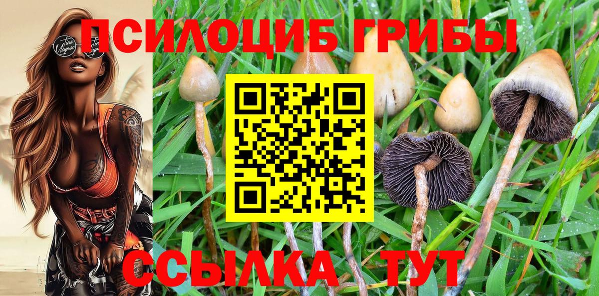 Новодвинск  даркнет сайт  Вход с VPN  Галлюциногенные грибы Psilocybine cubensis 